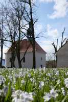 ČISTÁ | KAPLE SV. ANNY